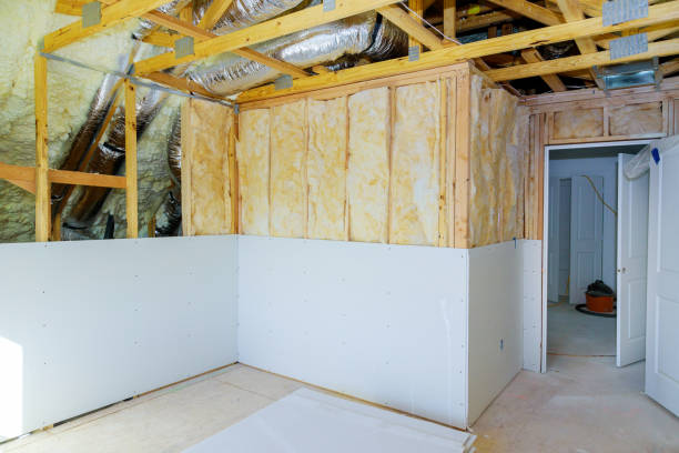 Best Spray Foam Insulation  in Ahoskie, NC